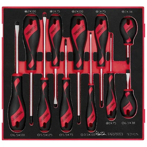 MD Screwdriver Set 11-Piece TED-Tray Teng Tools TE-TED911N