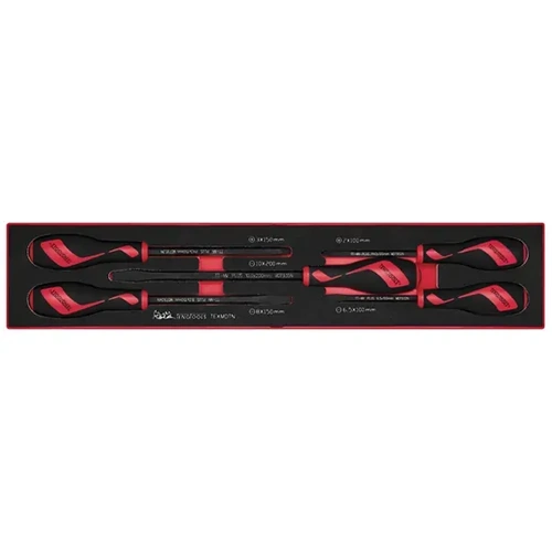 Power Thru Screwdriver Set 5-Piece TEX-Tray Teng Tools TE-TEXMDTN